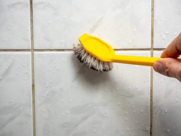 Mold Testing and Removal in Sturtevant, WI