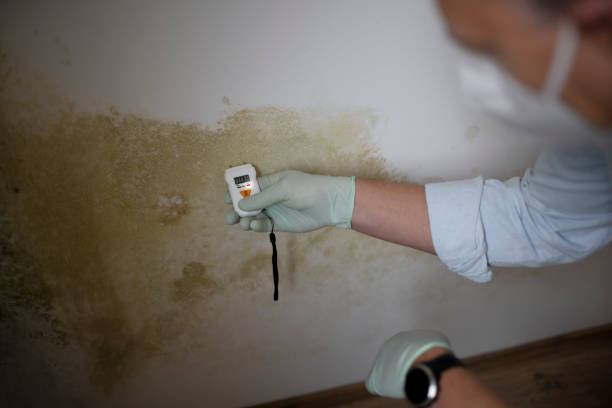 Best Office Mold Removal Services  in Sturtevant, WI